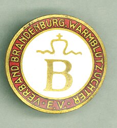Verband Brandenburger Warmblutzüchter e.V.