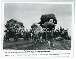 III. Reich - gedrucktes Pressefoto " Auf dem Weg in neue Heimstätten  " 17.8.1943