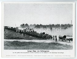 III. Reich - gedrucktes Pressefoto " Lange Züge von Gefangenen " 31.8.1943