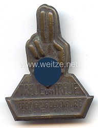 III. Reich - " Treue um Treue " Vereidigung Oldenburg 25.2.1934
