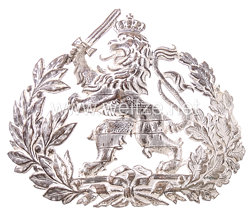 Hessen Silbernes Helmemblem für die Pickelhaube Mannschaften der Dragoner-Regimenter Nr. 23 und 24.