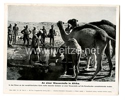Wehrmacht - gedrucktes Pressefoto " An einer Wasserstelle in Afrika " 15.1.42