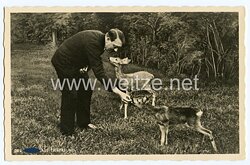 III. Reich - Propaganda-Postkarte - " Adolf Hitler - Der Führer als Tierfreund "