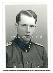 Waffen-SS Portraitfoto, SS-Untersturmführer im Veterinärdienst