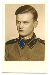 SS-Verfügungstruppe Portraitfoto, SS-Mann der Leibstandarte SS Adolf Hitler (LSSAH) 