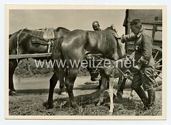 Waffen-SS - Propaganda-Postkarte - " Unsere Waffen-SS " - Auch ein Kriegskind