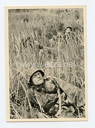 Waffen-SS - Propaganda-Postkarte - " Unsere Waffen-SS " - Fliegerdeckung