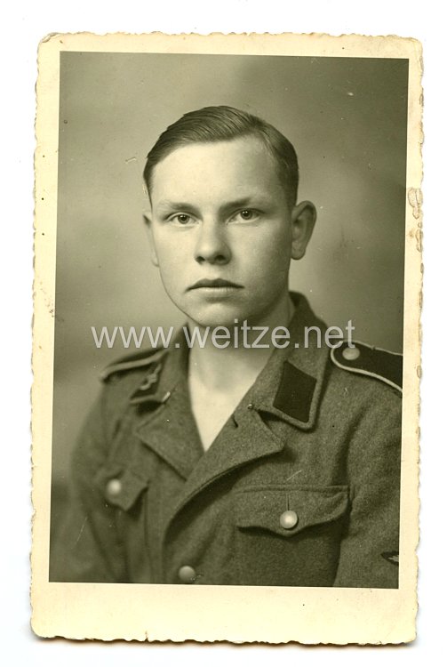 Waffen-SS Portraitfoto, SS-Mann