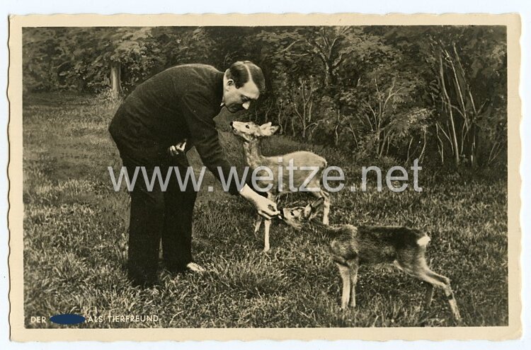 III. Reich - Propaganda-Postkarte - " Adolf Hitler - Der Führer als Tierfreund "
