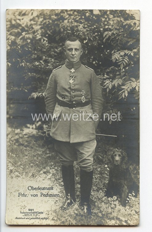 Fliegerei 1. Weltkrieg - Fotopostkarte  - Deutsche Fliegerhelden " Oberleutnant Freiherr Pechmann "