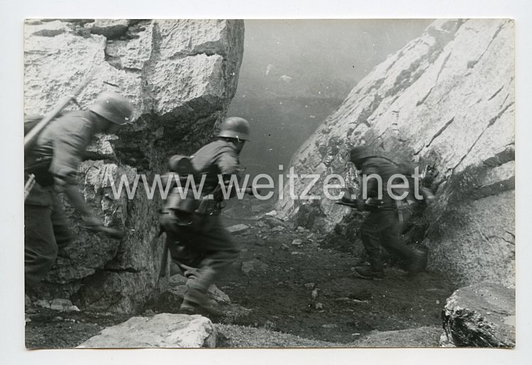 Wehrmacht Heer Pressefoto: Der Meldehund vor dem Einsatz