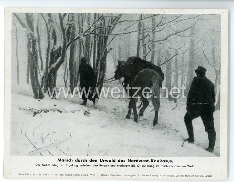III. Reich - gedrucktes Pressefoto " Marsch durch den Urwald des Nordwest - Kaukasus " 12.1.1943