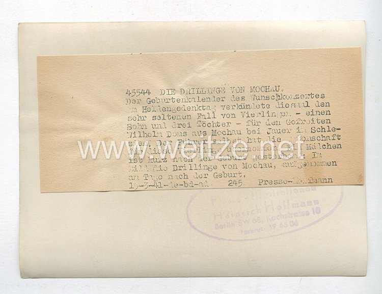 3. Reich Pressefoto: Die Drillinge von Mochau 19.3.1941 Bild 2