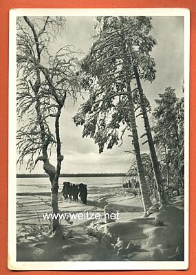 Waffen-SS - Propaganda-Postkarte - " Kampf der SS-Gebirgsdivision ' Nord ' in Karelien " - Karelischer Winter