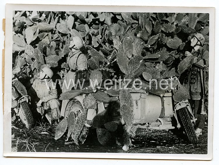 Luftwaffe Pressefoto: Kampf in Tunesien. Ein feindlicher Aufklärer kommt. Gut getarnte in den Kakteen stehen in Tunesien unsere Fallschirmjäger zum Angriff bereit. 23.2.1943