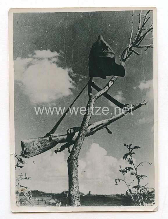 Wehrmacht Pressefoto: Ukraine, Krieg im Osten, Sowjetmütze und Gewehr hängen am Baum