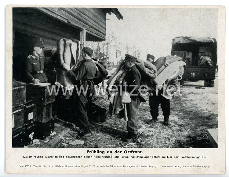 III. Reich - gedrucktes Pressefoto " Frühling an der Ostfront " 30.4.1943