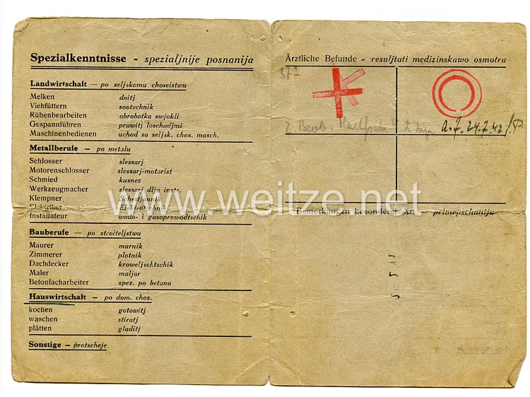 III. Reich - Personalkarte Arbeitsamt Gotenhafen für eine Frau des Jahrgangs 1924 Bild 2